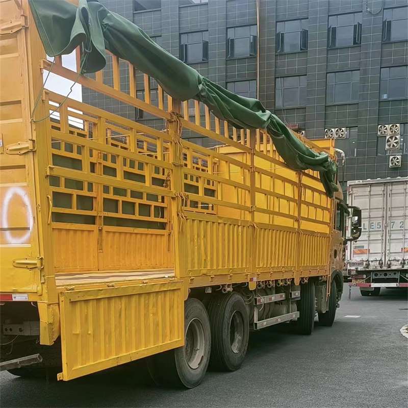 河南洛阳西工至宜宾货运专线一站式物流服务，让货物畅行无忧