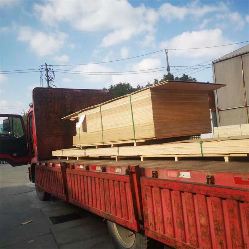 河南洛阳西工至塔城货运专线，一站式物流服务助您成功